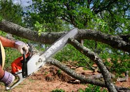 Best Storm Damage Tree Cleanup  in Blue Ridge, TX