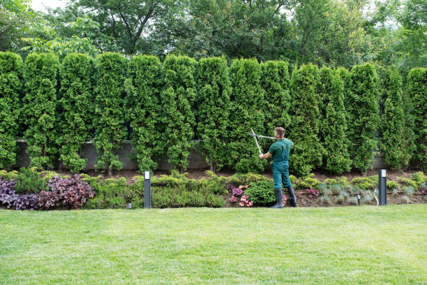 Best Lawn Drainage Solutions  in Blue Ridge, TX